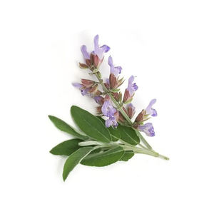 น้ำมันหอมระเหยน้ำมันสำหรับผมออร์แกนิคเกรดเครื่องสำอาง - Product Image 1