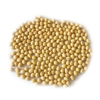 Soja jaune séché biologique de haute qualité (soja) sans OGM Livraison rapide en vrac emballé à bas prix en vente!