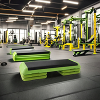 Plataforma Deportiva Pliométrica Ajustable para Ejercicios de Fitness, Escalada, Plank, Bicicleta, Abdominales, Aeróbicos, Personalizable