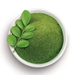 Esportazione in polvere di moringa sfusa con buon prezzo e alta qualità dal fornitore Vietnam