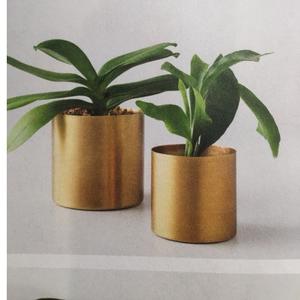 Macetas de Metal y Hierro para Plantas, Estilo Costero, Calidad Premium, Tamaño Personalizable - Product Image 2