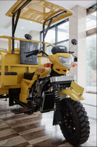 จักรยานสามล้อ250cc หลังสองล้อยางน้ำ5ล้อ - Product Image 5