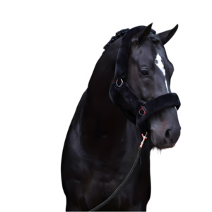 เชือกแขวนคอไนลอนม้าปรับได้นุ่มมากพร้อมแผ่นรองขนสัตว์ตะขอคาราบิเนอร์โลหะทนทานและสายคล้องคอ - Product Image 1