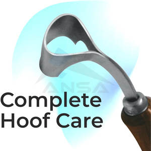 Couteau à sabot allemand Super pointu de qualité supérieure manche en bois marron outil de maréchal-ferrant professionnel pour l'entretien des sabots - Product Image 2