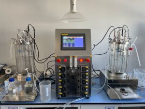 Biorreactor de laboratorio Bailun 5L, biorreactor de vidrio con agitación magnética utilizado para sustrato para fermentación en el momento de la fermentación - Product Image 6