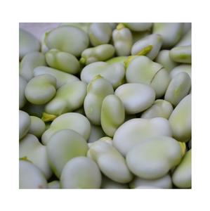 Fournisseur d'or de haricots secs, haricots en coque, 50 à 60 sacs, style jaune clair - Product Image 6