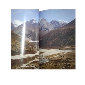 Cartón/papel de impresión de etiquetas personalizadas de alta calidad para eventos de oficinas escolares-Impresión offset en color Suministro mundial India - Product Image 1