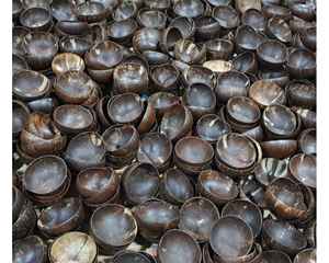 ชามกะลามะพร้าวแบบเรียบง่ายเป็นมิตรกับสิ่งแวดล้อมจากเวียดนามทำด้วยมือพร้อมชามกะลามะพร้าวตกแต่งผิวเรียบสินค้าส่งออก - Product Image 1