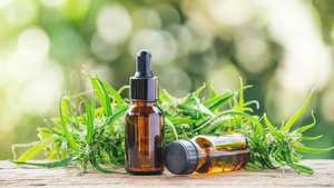 Natural OILCBDOIL Producto para agricultura Aceite de calidad premium - Product Image 4