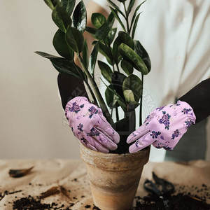 Hot Sale Cheap Price High Grade Leather Gardening <b>Gloves</b> Bulk Quantity Waterproof Durable 14 Inch - Product Image 4