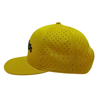 Gorras de Golf Personalizadas al por Mayor, Gorras Snapback de Poliéster Perforadas, Fabricante de Gorras de Indonesia, Gorras Deportivas Impermeables Multicolores KA