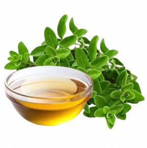 Huile essentielle d'origan pure naturelle en gros, vente chaude, liquide naturel par le fabricant à bas prix pour un usage quotidien - Product Image 4
