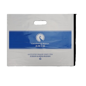 Custom Printed Plastic Shopping Bag Shopping Die Cut Bag Plastic Packaging Bags Handle With Own Logo