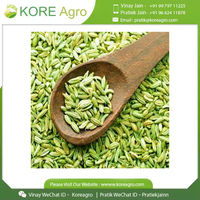 Biji adas kelas makanan Crop baru Area produksi inti kualitas tinggi grosir dengan harga grosir dengan kemasan guci Mason Drum