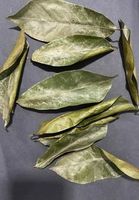 Sachets de thé au corossol biologique biologique sans gluten de International Corp. Soursop pour la perte de poids et le diabète