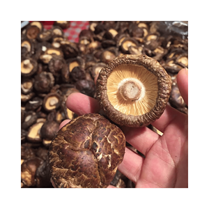 เห็ดหอมแห้งแคปเห็ดหอมธรรมชาติและก้านสำหรับน้ำซุปราเม็งและซอสผัด, เกรดอย่างระมัดระวัง, ต้นกำเนิดจากเวียดนาม - Product Image 5