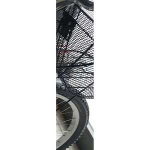 Bicicleta de Carga Eléctrica de Tres Ruedas Dorello Azul, Cuadro de Acero, Canasta de Aluminio, 18 Velocidades, Capacidad de Carga de 100 kg, Frenos V Dobles, Ruedas de 16 Pulgadas - Product Image 3