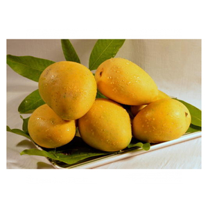 Mango Badami de primer grado con rico sabor dulce disponible fresco de granjas indias a un precio asequible para suministros a granel y de exportación - Product Image 4