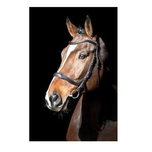 Selle anglaise confort ultime Design anatomique de qualité supérieure Boucle de fixation en laiton en cuir Delta Bridle Halters Rub - Product Image 2