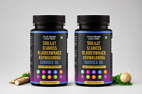 Formule de soutien énergétique et immunitaire complète la plus vendue, algue marine, huile de bardane, avec shilajit, ashwagandha, varech en capsules