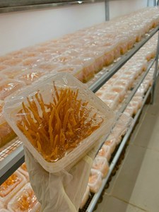 Champignon fonctionnel Cordyceps Militaris Ingrédient en vrac pour capsules et thé/lys - Product Image 4