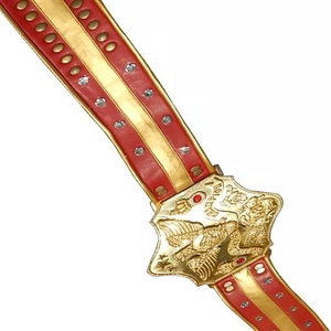 Cinturón de título de competición de tamaño adulto Cinturón de lucha libre de campeonato Universal WORLD HEAVYWEIGHT WINGED EAGLE WRESTLING - Product Image 4