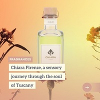 Diffuseur de parfum d'ambiance Chiara Firenze Agrumi, écologique, 200 ml, bouteille en verre, bâtonnets, fabriqué en Italie, pamplemousse, orange douce