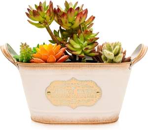 Precio de venta alto Calidad superior Diseño de tamaño personalizado Nuevo aspecto Maceta de metal Galvanizado proveedor de Fabricante al por mayor - Product Image 4