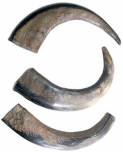 Pointe de corne de buffle naturelle, artisanale, écologique, taille personnalisable, couleur noire naturelle, style animal unique - Product Image 5