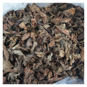 ใบเจลลี่หญ้าดำแบบพรีเมี่ยมจากเวียดนามสำหรับขนมหวานและเครื่องดื่ม - Product Image 6