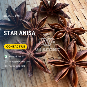 Cannelle de cassia à l'anis étoilé de meilleure qualité provenant directement du Vietnam pour le printemps d'hiver-WS Laura + 84 928 148 271 - Product Image 2