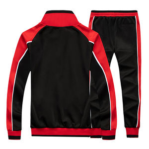 Deux pièces survêtement à capuche pour hommes 100% coton Sport Jogging ensemble veste confortable pantalons de survêtement équipe survêtement pour la saison d'automne - Product Image 2