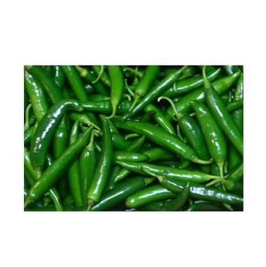 พริกเขียวสดเกรดสูง ไม่มีสารปรุงแต่ง - Product Image 2