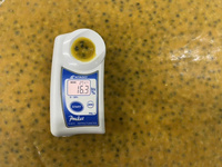 Vietnam Bevroren Passievrucht Pulp Rijke Pittige Zoete Smaak Iqf Tropisch Fruit Voor Kopers