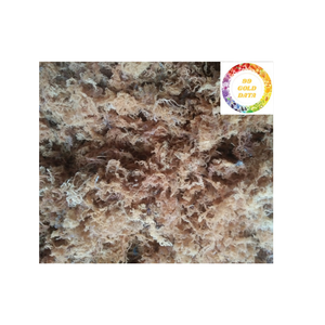 Algas marinas Cottonii para bocadillos, ensaladas y formulaciones de belleza, gran oferta versátil con procesamiento sazonado - Product Image 5