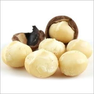 Nueces de Macadamia Orgánicas, Naturales, Crudas y Tostadas, al por Mayor, Alto Valor Nutricional, Estándar de Exportación - Product Image 4