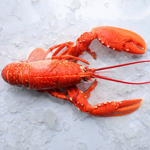 กุ้งสดแช่แข็งแบบพรีเมี่ยมขายส่งขายส่ง - Product Image 2