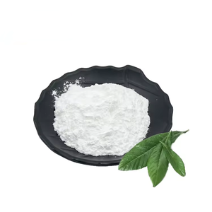 Bubuk ekstrak daun Loquat organik alami, 25% 50% 90% 95% 98% bubuk asam ursolik - Product Image 2