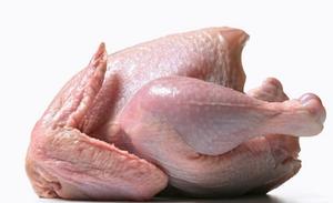 Pollo entero HALAL, patas de pollo, patas de pato, alas, GIZZARDS - Product Image 1