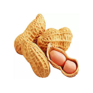 เมล็ดถั่วลิสงดิบอบแห้งถั่วลิสงผิวแดงออร์แกนิก - Product Image 6