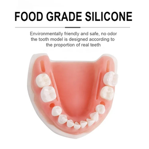 Kit de pratique dentaire pour l'école de dentisterie, simulateur de suture dentaire, modèle de parodontite en silicone, kit complet de suture dentaire - Product Image 5