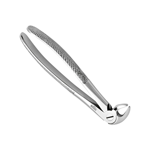 Forceps d'extraction dentaire en acier inoxydable Matériau dentaire d'origine Profession Soins des dents dentaires Forceps dentaire - Product Image 4