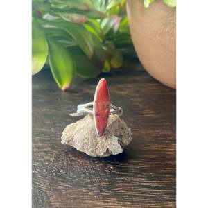 Germane Smith Spiny Oys & Sterling <b>Silver</b> Cobblestone <b>Ring</b> <b>Statement</b> Bezel Setting with Turquoise Coral Size 7 Everyday Wear - Product Image 1