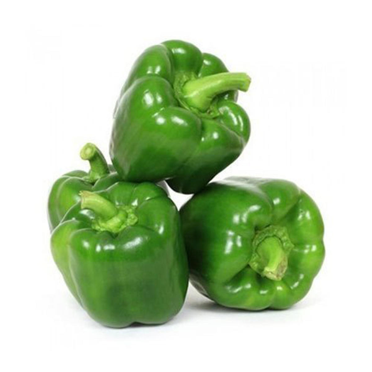 All Pakistani Premium Quality Fresh Vegetables at wholesale Vegetables from Pakistan