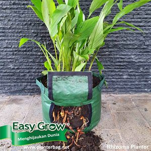 Heavy Duty 7 10 15 20 25 <b>30</b> 35 <b>Gallon</b> Garden Felt Bags Mushroom Potato Grow Bags <b>Pots</b> with Strap Handles for Planters - Product Image 3