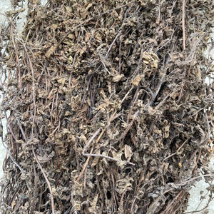 Hojas Secas de Hierba de Jalea Negra (Mesona Chinensis) 100% Puras, Especias y Hierbas Aromáticas de Vietnam, Empaque a Granel, Bolsa de 70 kg, VIET DELTA - Product Image 4