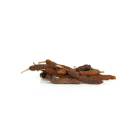Poivre long de la meilleure qualité, Madura Indonésie, Star Laboratories, récolté directement dans le jardin, boîtes de 10-25 kg, durée de conservation de 2 ans, Surabaya