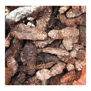 PREMIUM DRIED NONI FRUIT FROM VIETNAM//COMPETITIVE PRICE//HIGH <b>QUALITY</b>//WHOLESALE WORLDWIDE - Product Image 2