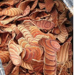 Caulis spatholobi/đích thực sản phẩm thảo dược/tốt nhất số lượng lớn giá/sản xuất tại Việt Nam - Product Image 6