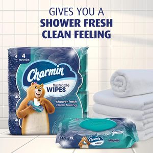 Charmin. Toallitas Desechables, 960 Toallitas en Total, 40 Unidades (Paquete de 24) - Product Image 6